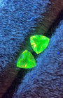 Mexican Hyalite Pair – Total 0.54 ctw (0.27 ct & 0.27 ct) Trillion Cut (5.0 mm & 4.9 mm) – Intense Green UV Fluorescence