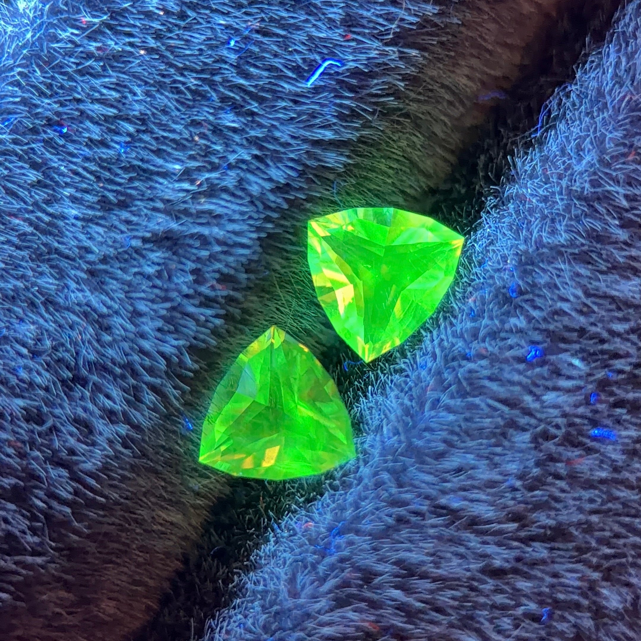 Mexican Hyalite Pair – Total 0.54 ctw (0.27 ct & 0.27 ct) Trillion Cut (5.0 mm & 4.9 mm) – Intense Green UV Fluorescence