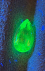 Mexican Hyalite – 0.63 ct Pear Cut (4.7 x 8.3 mm) – Intense Green UV Fluorescence