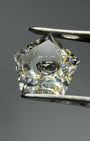 天然水膽水晶 – 0.79 克拉五角形切割 (6.9 x 6.8 毫米) – 中心負晶腔
