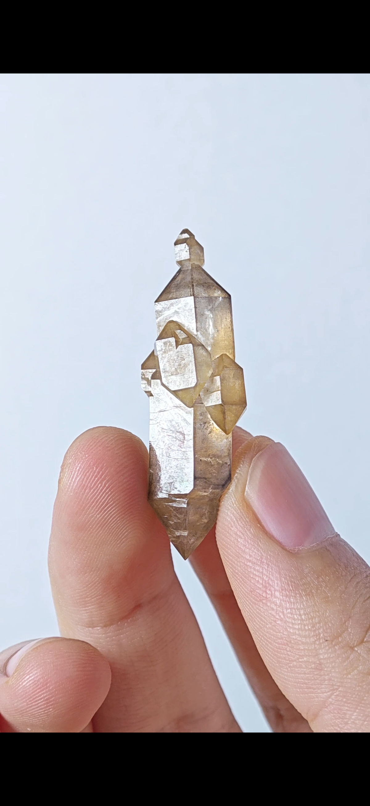 Natural Yellow-Skin Skeletal Petroleum Quartz Crystal with Three Buds | China