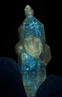 Natural Yellow-Skin Skeletal Petroleum Quartz Crystal with Three Buds | China