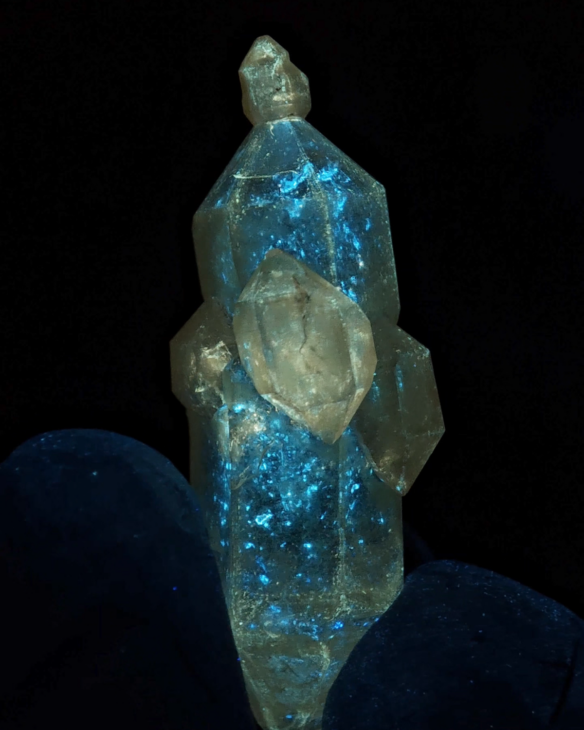 Natural Yellow-Skin Skeletal Petroleum Quartz Crystal with Three Buds | China