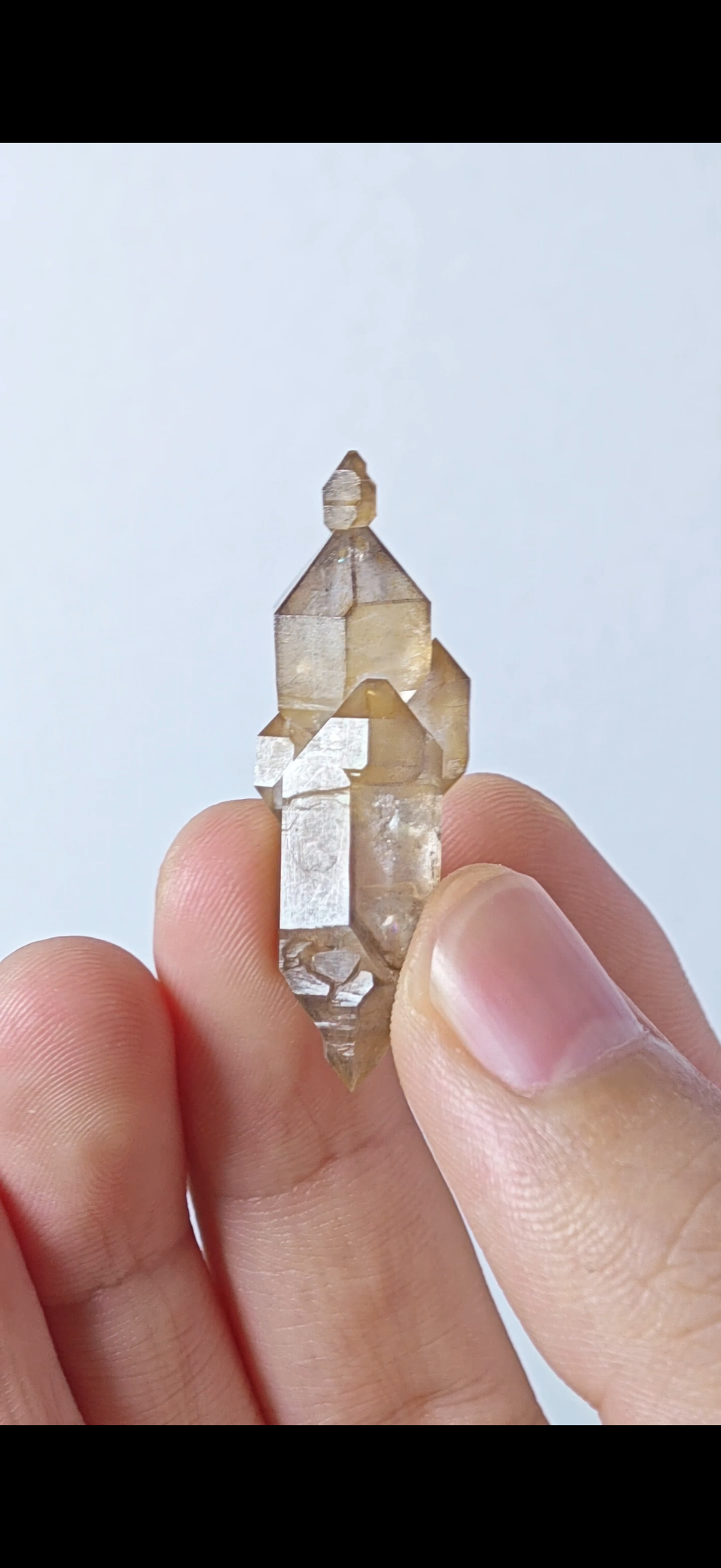 Natural Yellow-Skin Skeletal Petroleum Quartz Crystal with Three Buds | China
