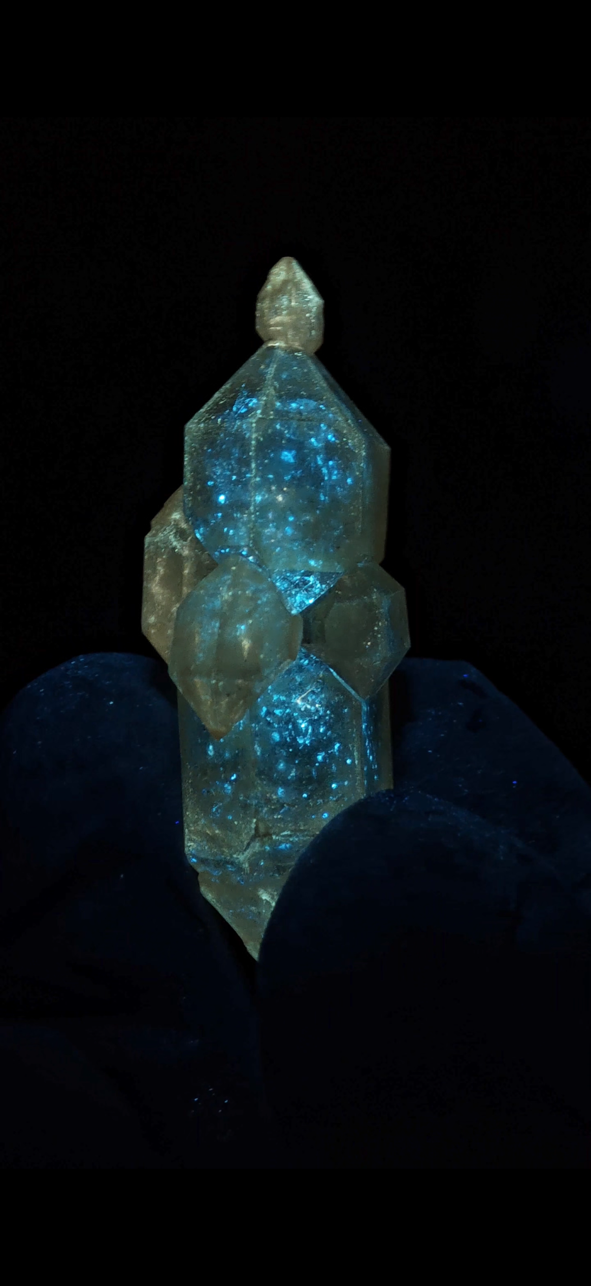 Natural Yellow-Skin Skeletal Petroleum Quartz Crystal with Three Buds | China