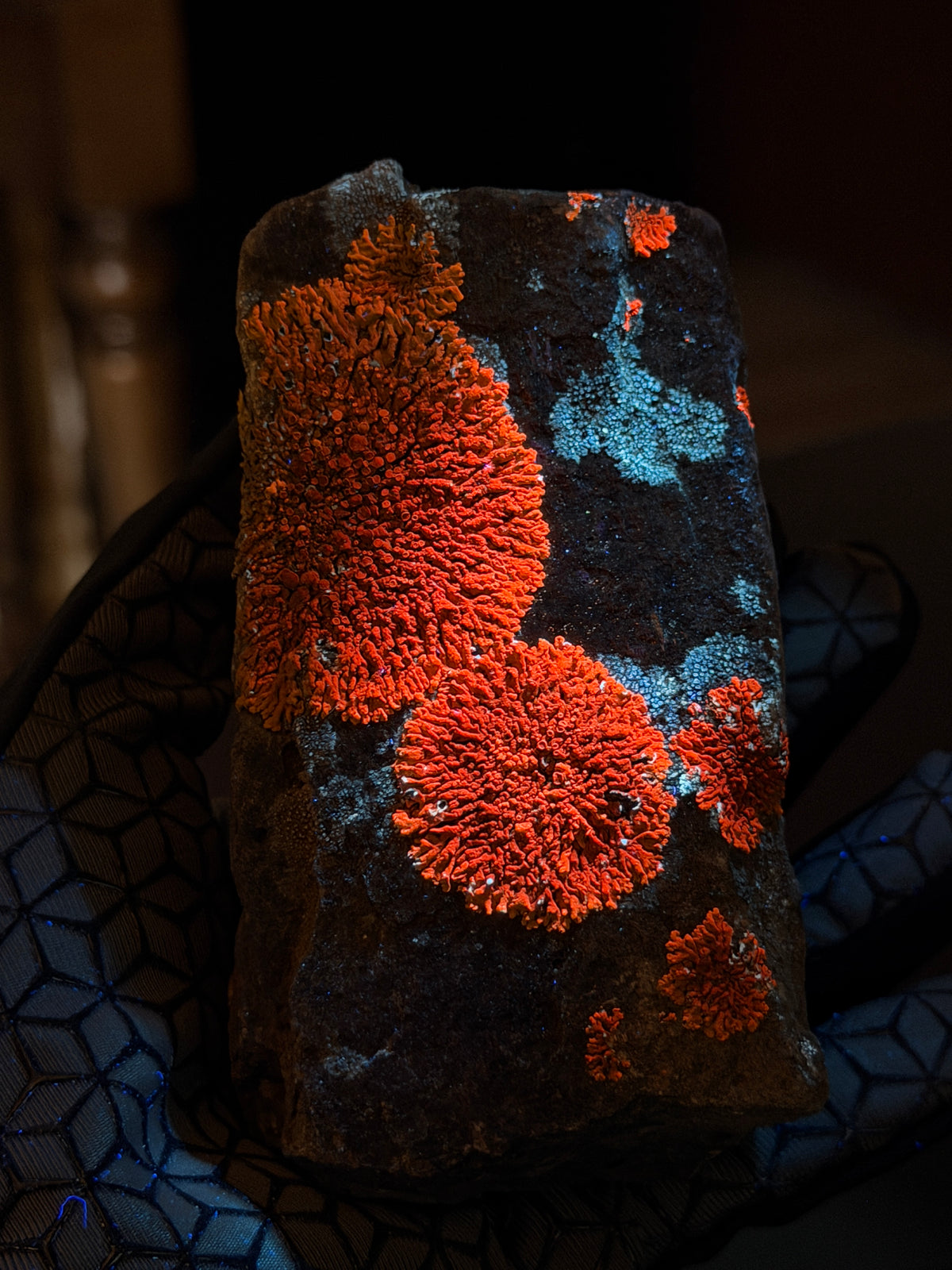 Natural Lichen Specimen on Rock Matrix – 669 g (107 x 58 x 52.6 mm) – Vibrant Orange & UV Reactive