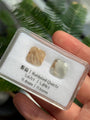 Rutilated Quartz Set ( 5.67ct + 5.89ct )