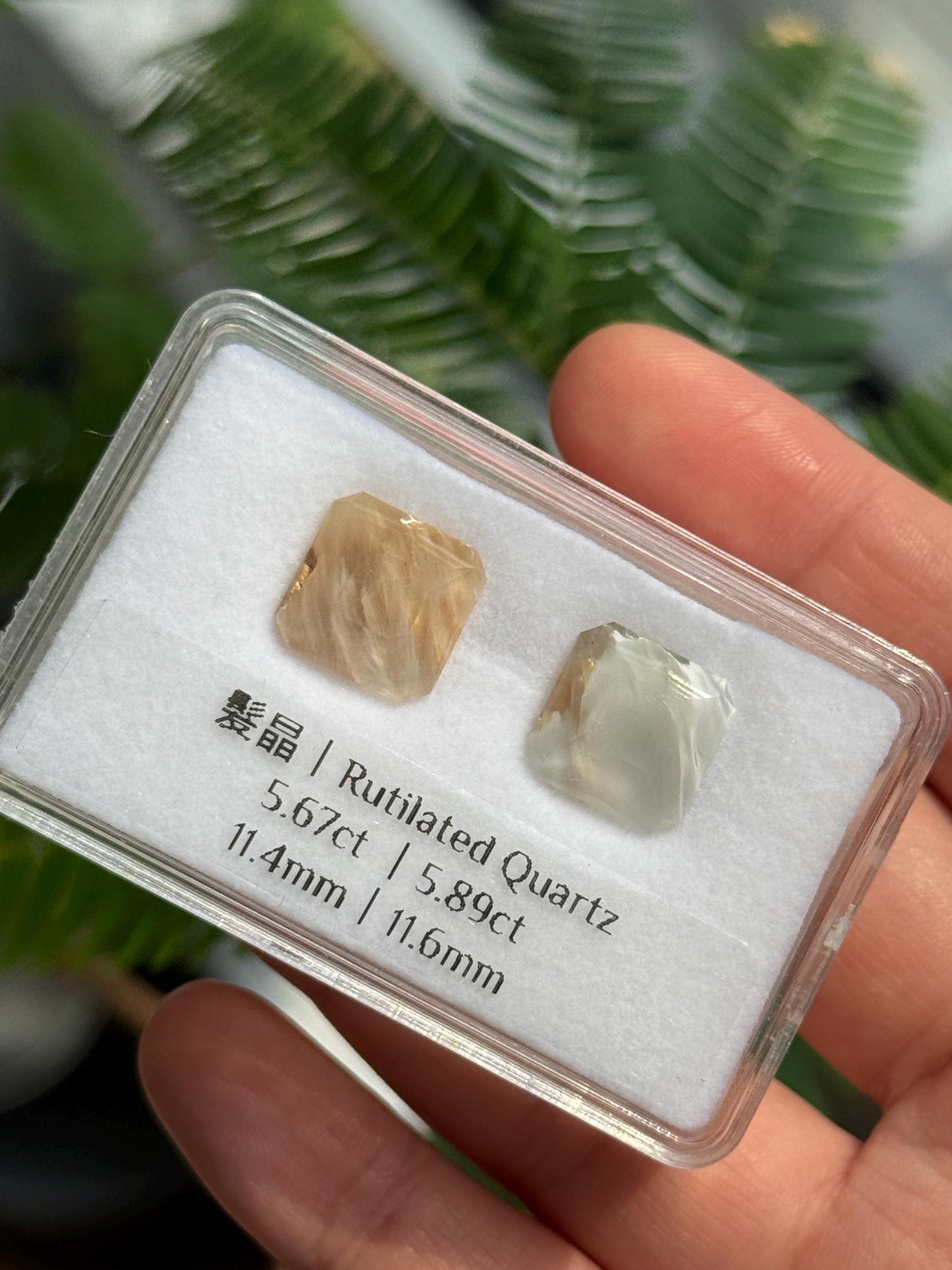 Rutilated Quartz Set ( 5.67ct + 5.89ct )