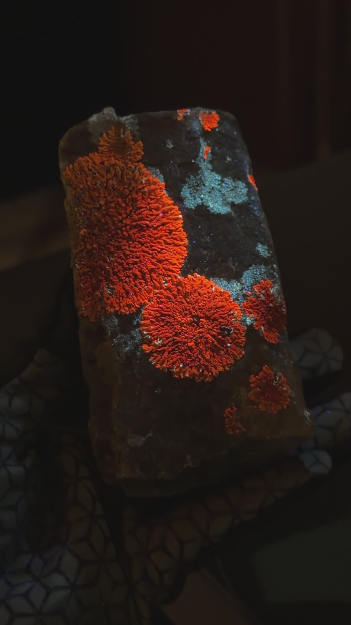 Natural Lichen Specimen on Rock Matrix – 669 g (107 x 58 x 52.6 mm) – Vibrant Orange & UV Reactive