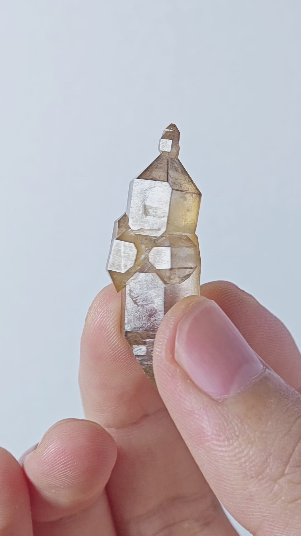 Natural Yellow-Skin Skeletal Petroleum Quartz Crystal with Three Buds | China